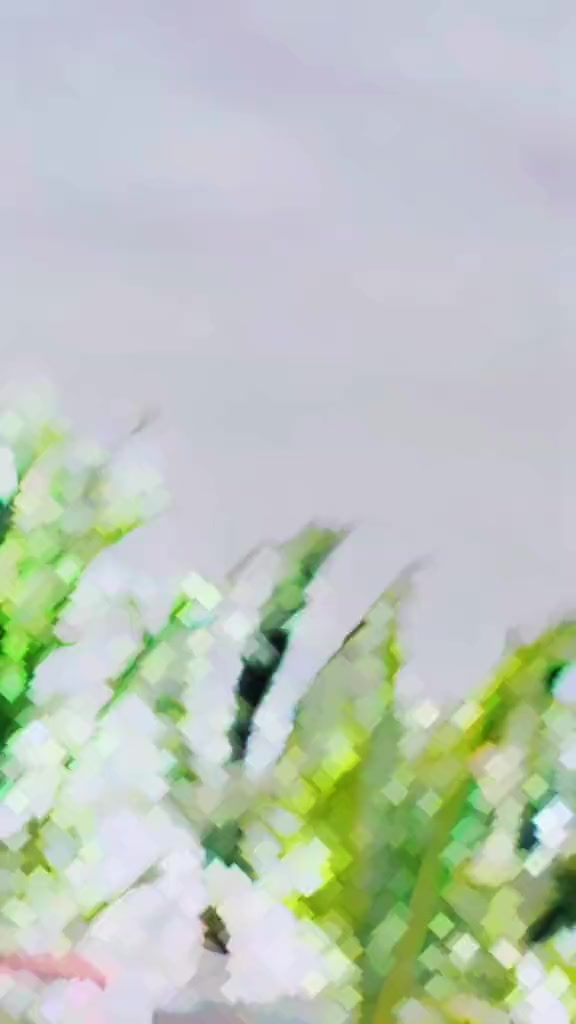 @𝐀𝐋𝐈 | 👑🖤 | برفت