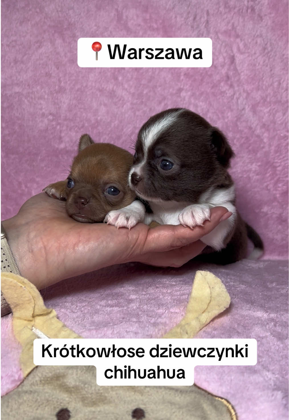 @Ulybki_lilu