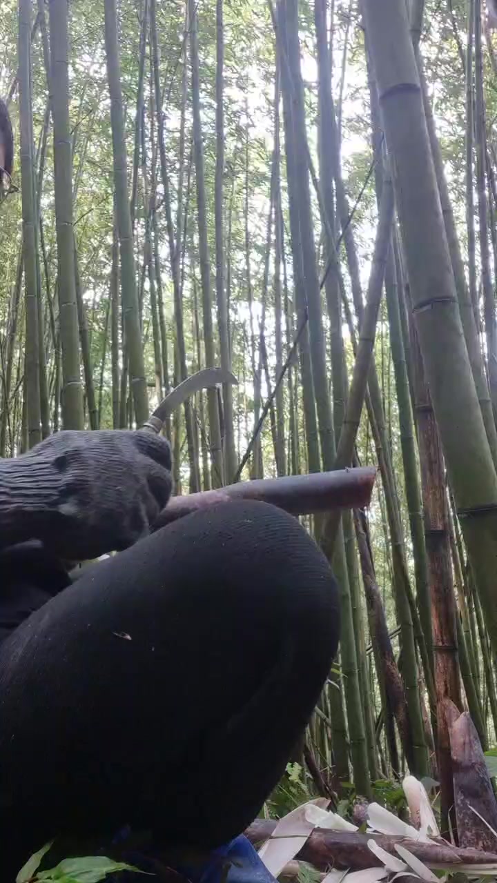 @四寶阿嬤