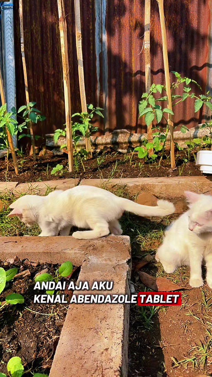 @finapajada