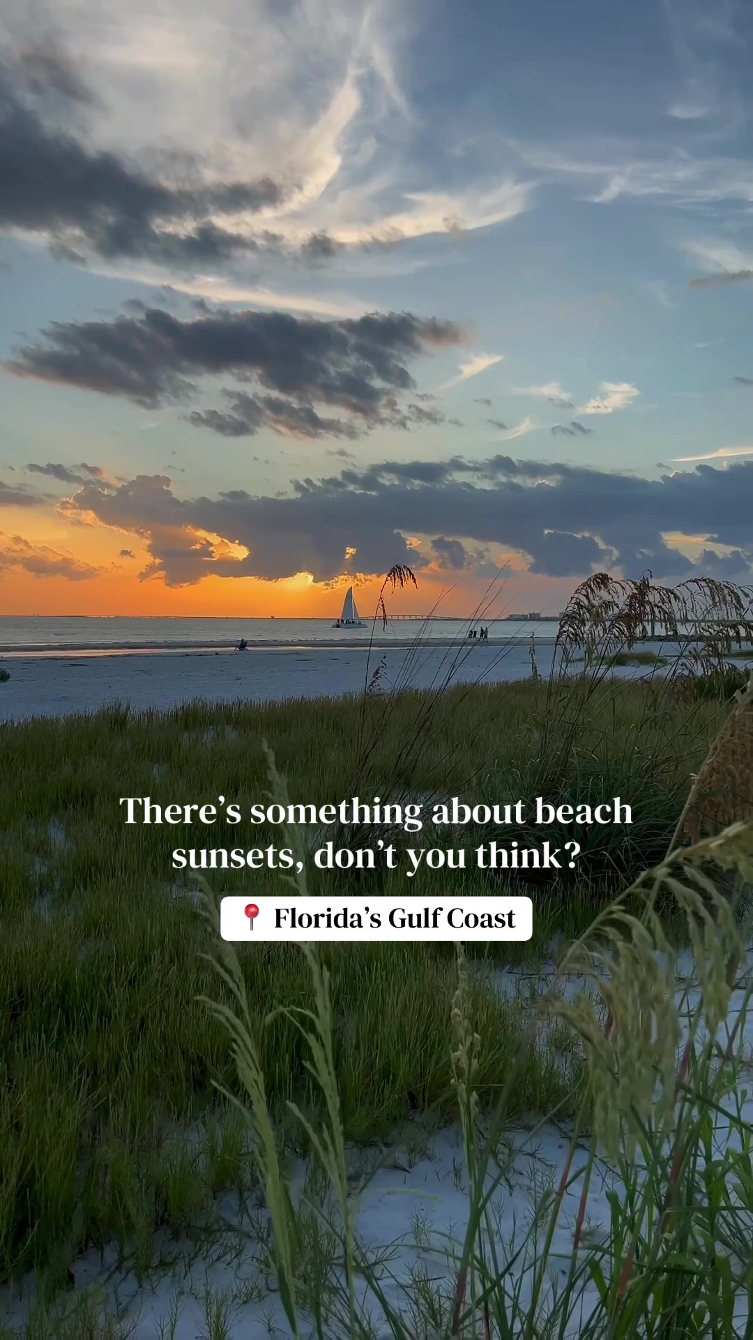 @Must See Florida