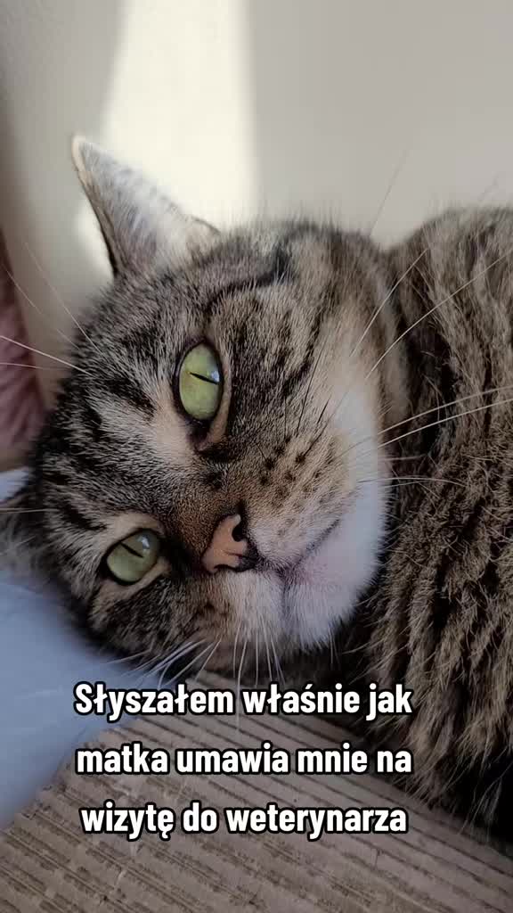 @😻Ekipa Świrka 😻