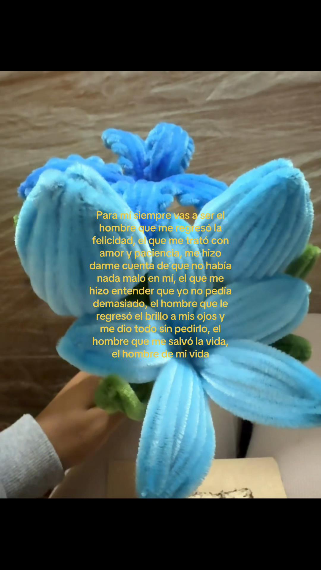 @jeffzoon