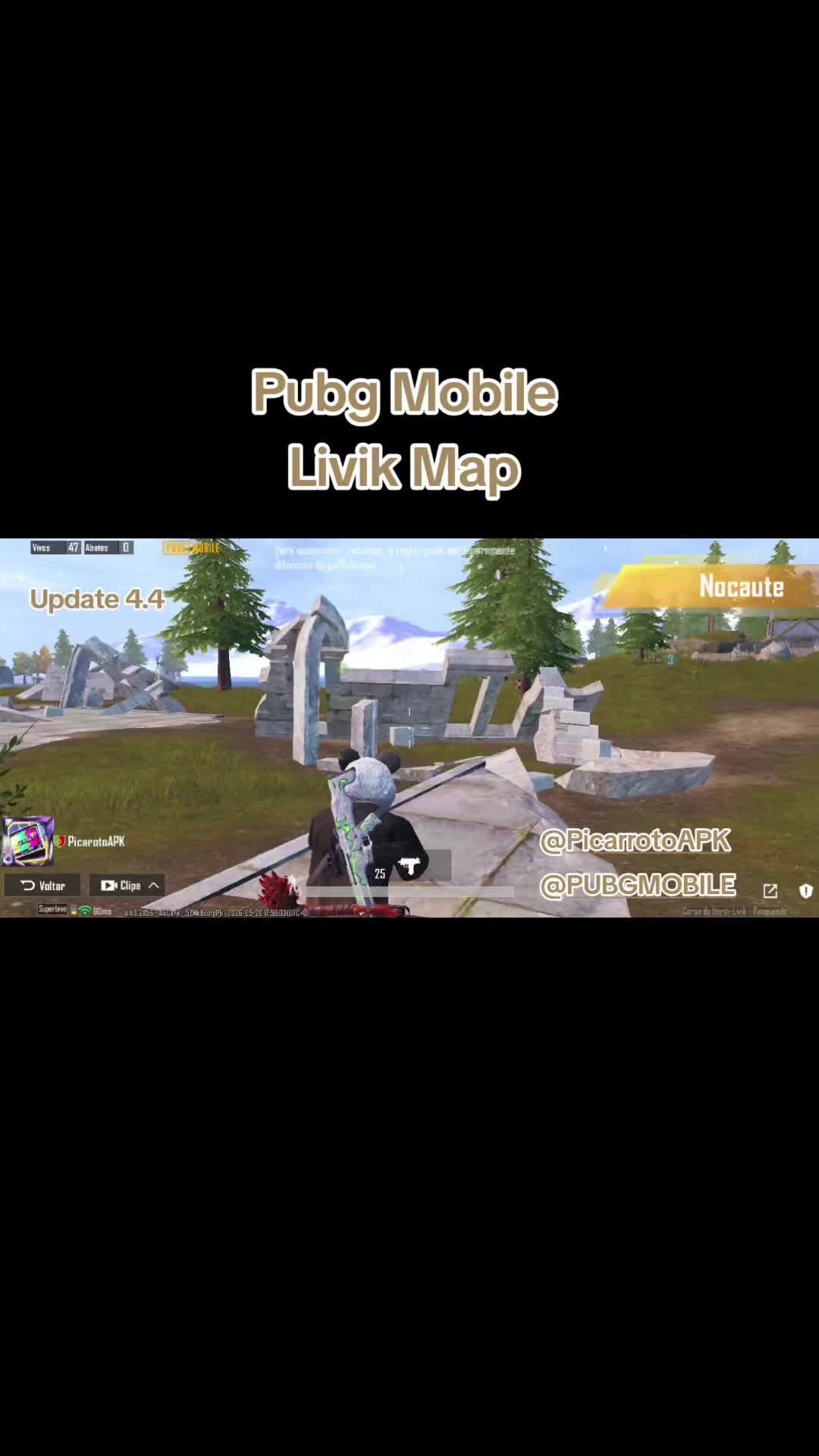 @PicarrotoAPK