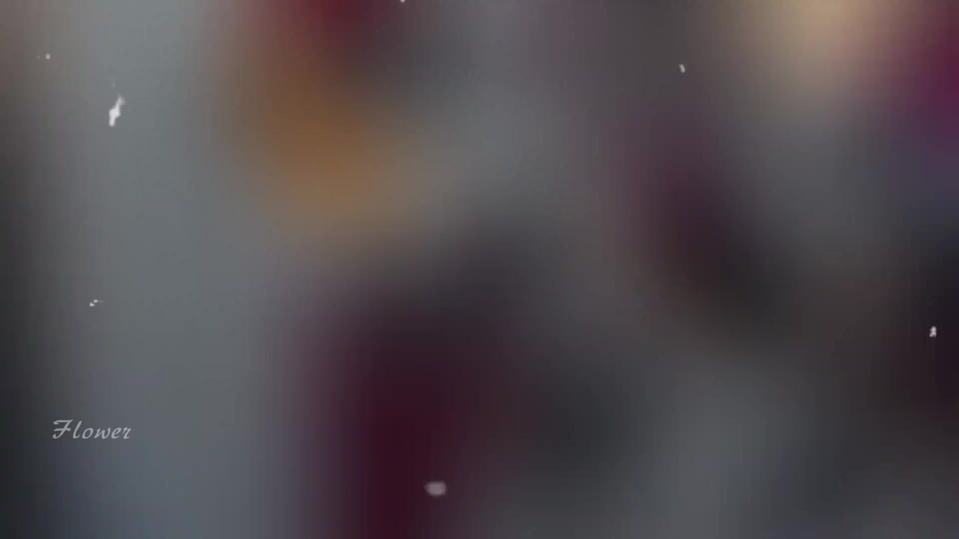 @𝓥𝓪𝓵𝓸𝓻.
