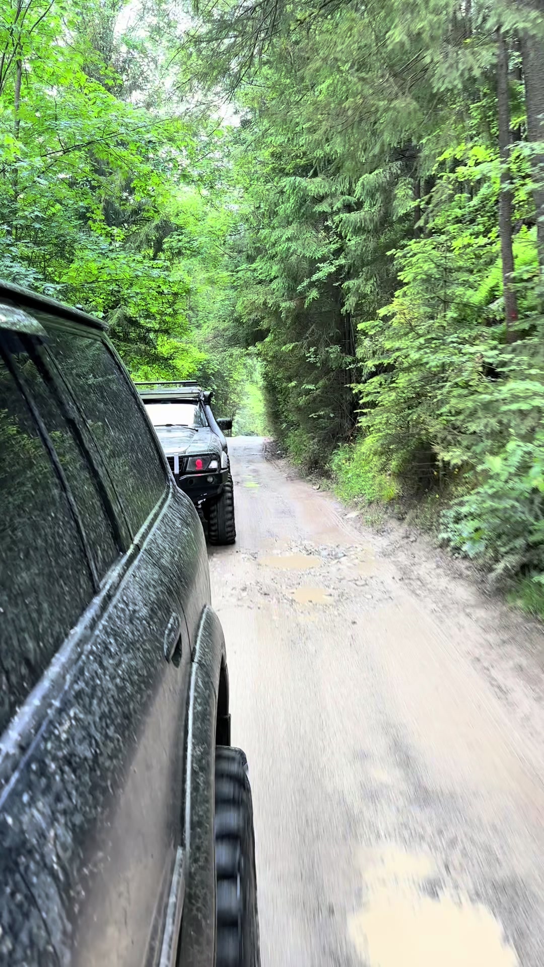 @_karpaty_jeep_tur_