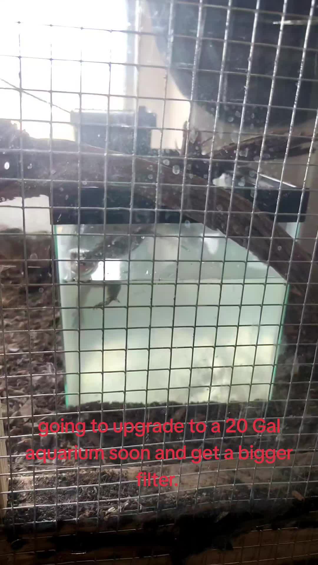 @AWWTIZUM