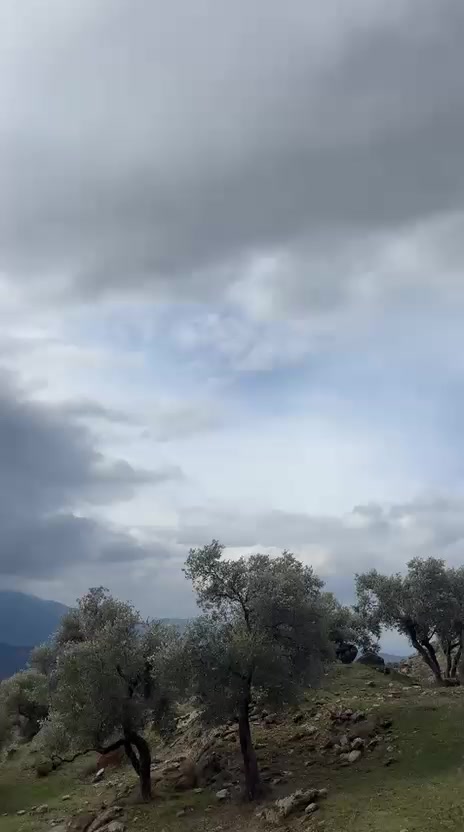 @Ömer
