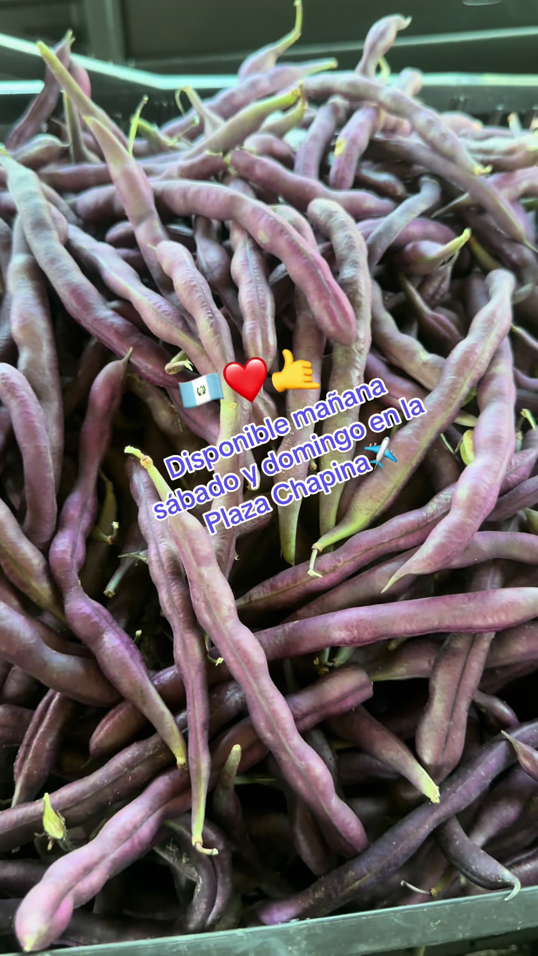 @🥀🥭✝️Marta Raymundo🥀🥷🏿✝️