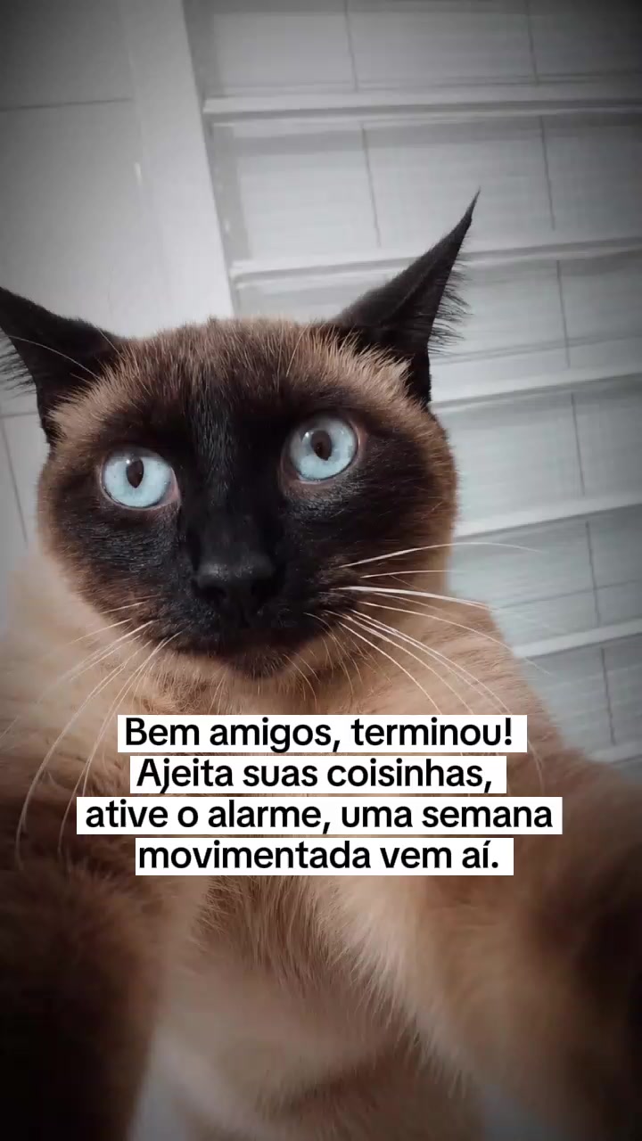@CAROLINA OLIVEIRA