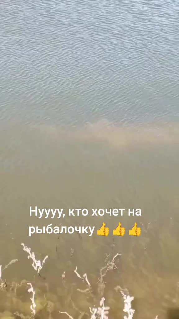 @Ирина Кизина