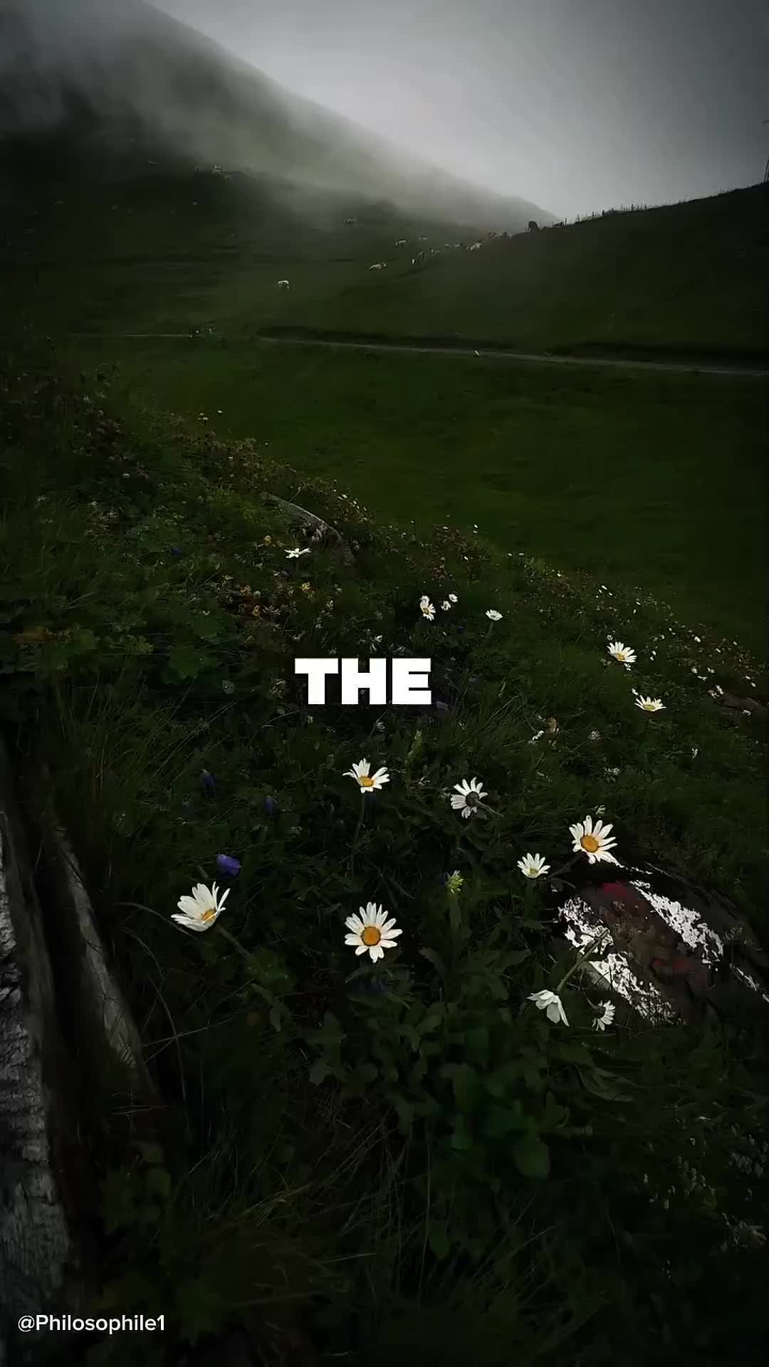 @Philosophile