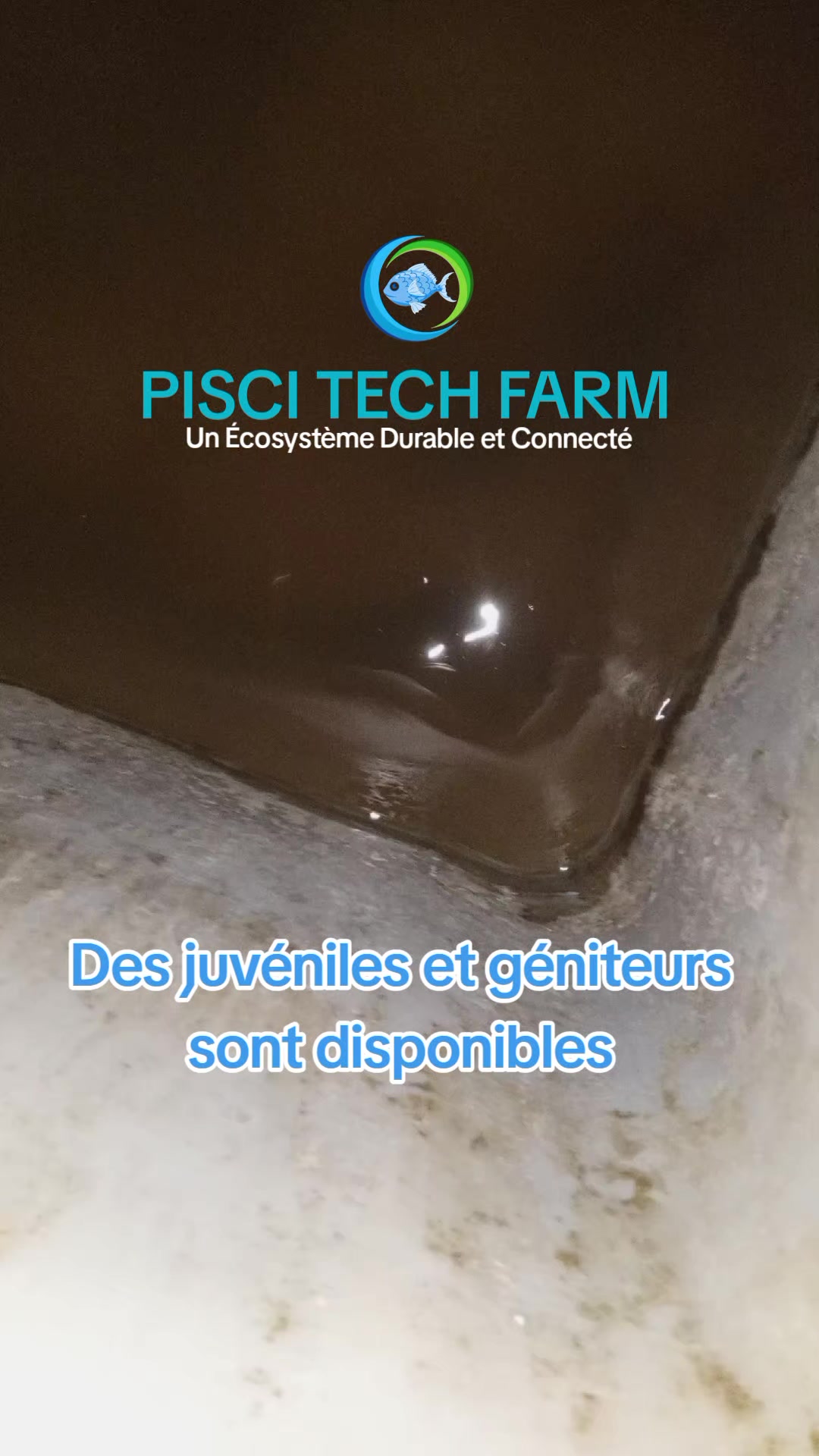 @PISCI TECH FARM
