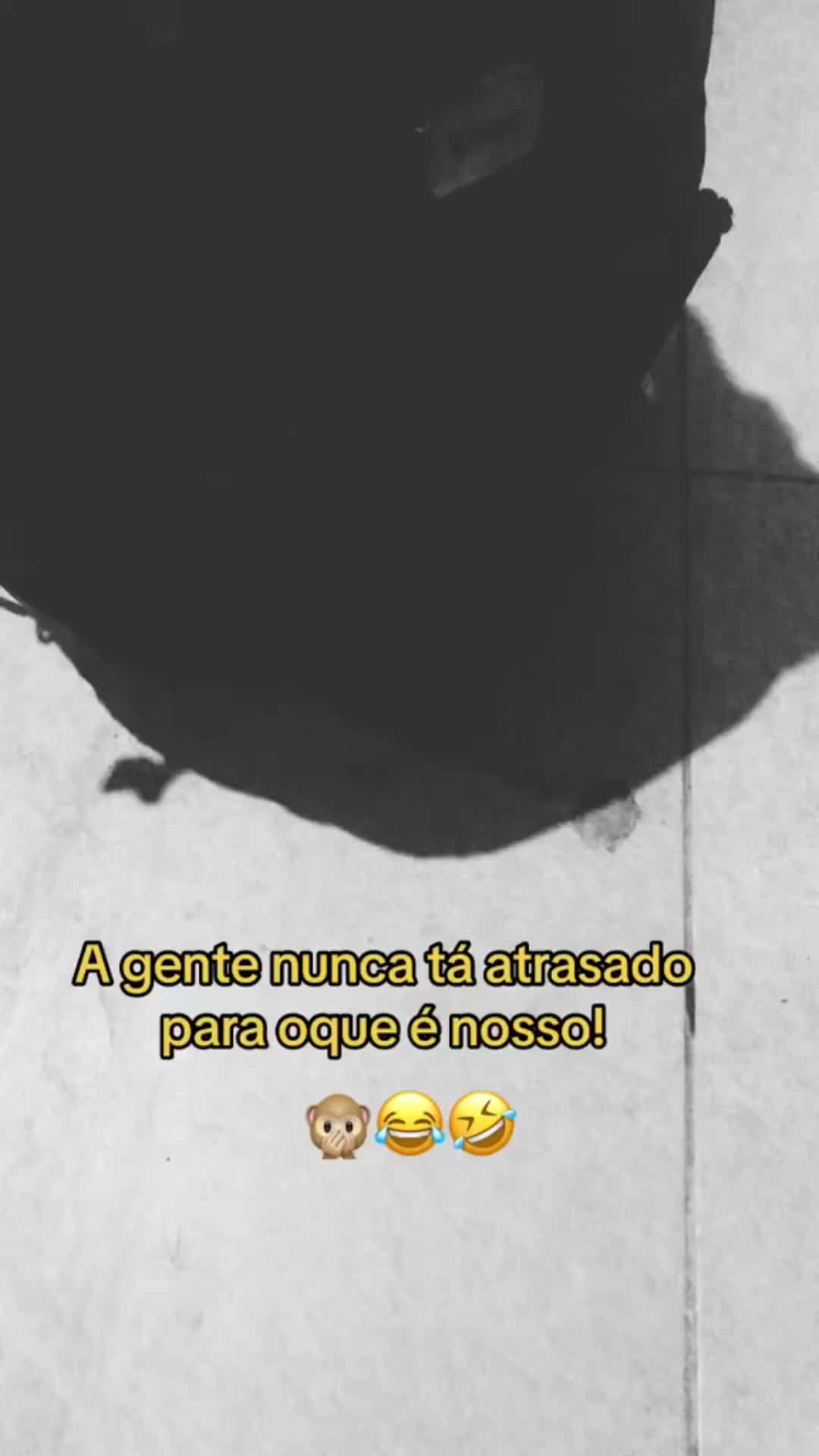 @marcosmonteiro261