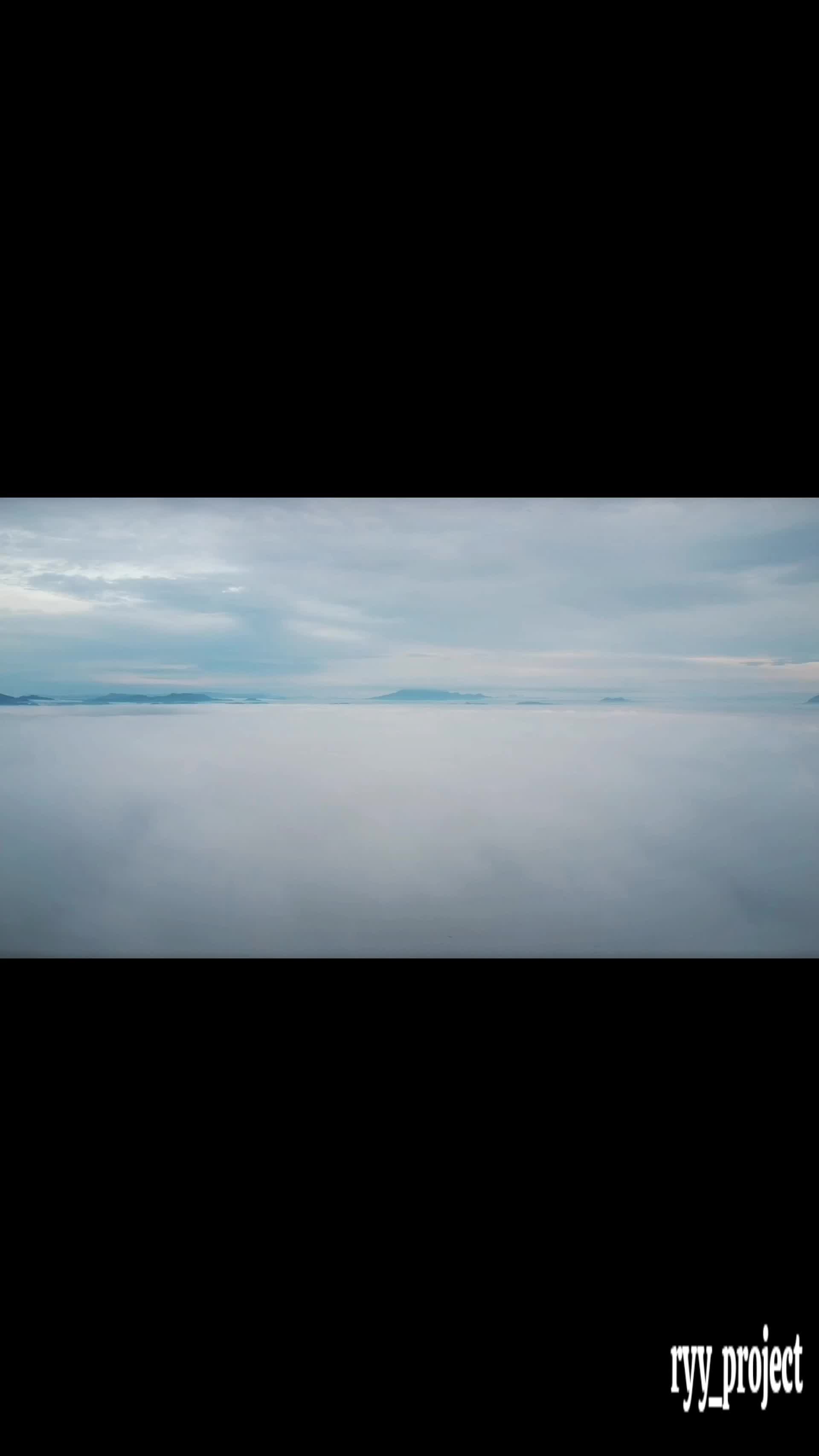 @ryy_project