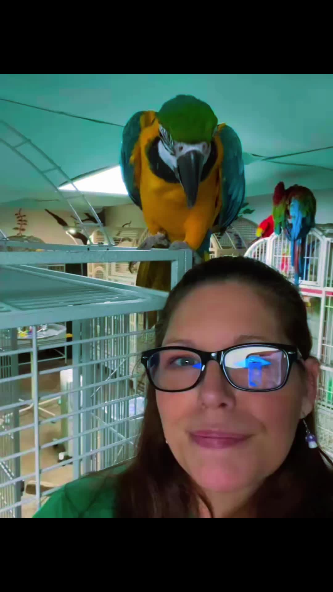 @CrystalParrot🦜💜🦜🍪🍨