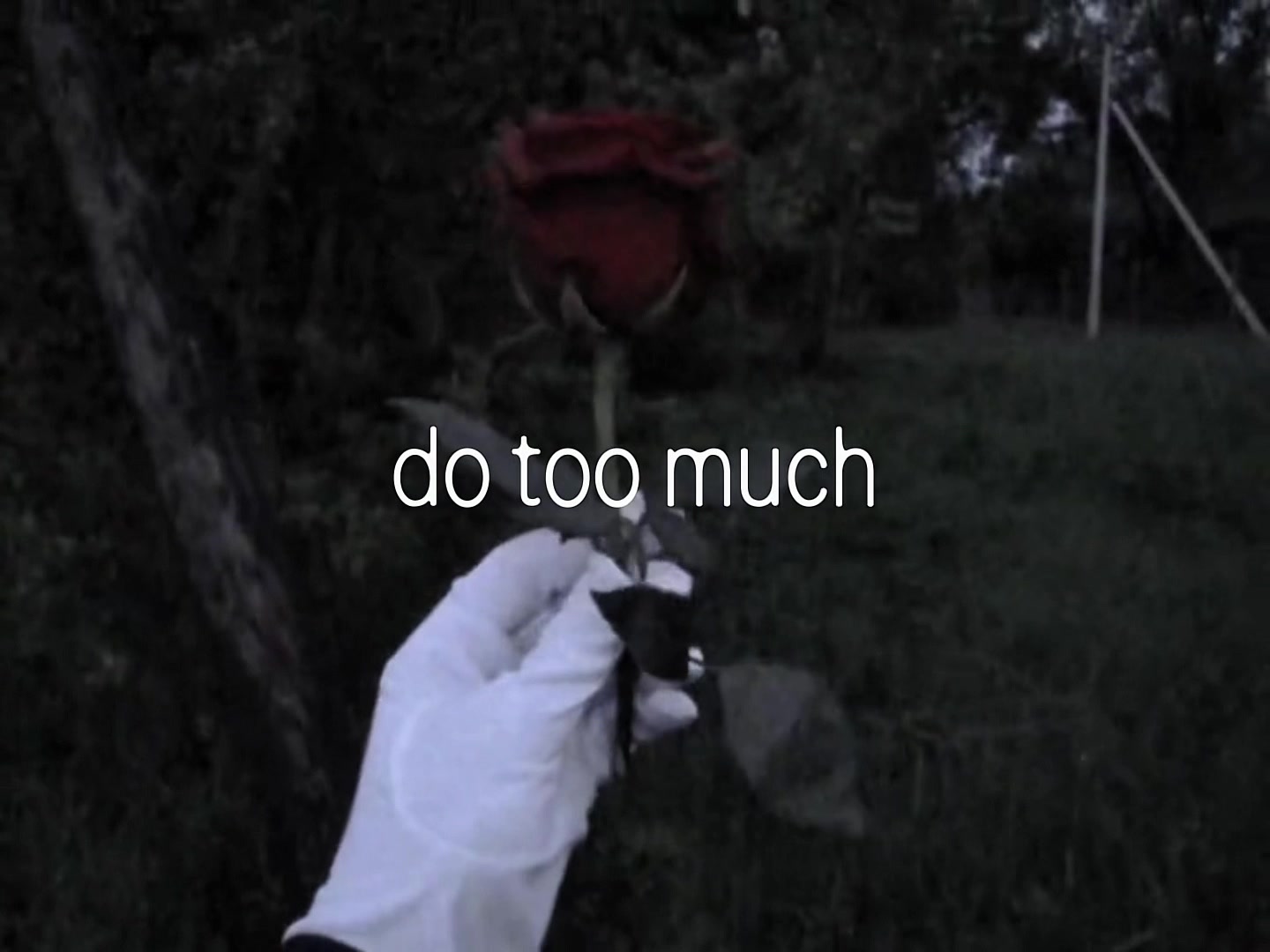 @bug