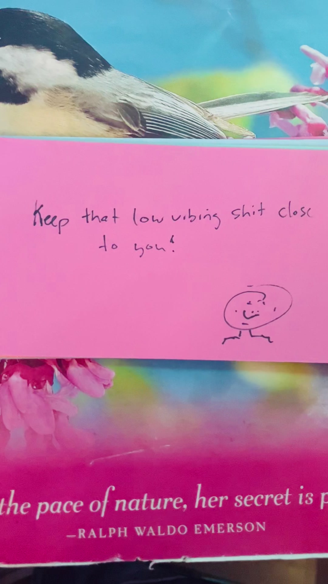 @TheChosenCode
