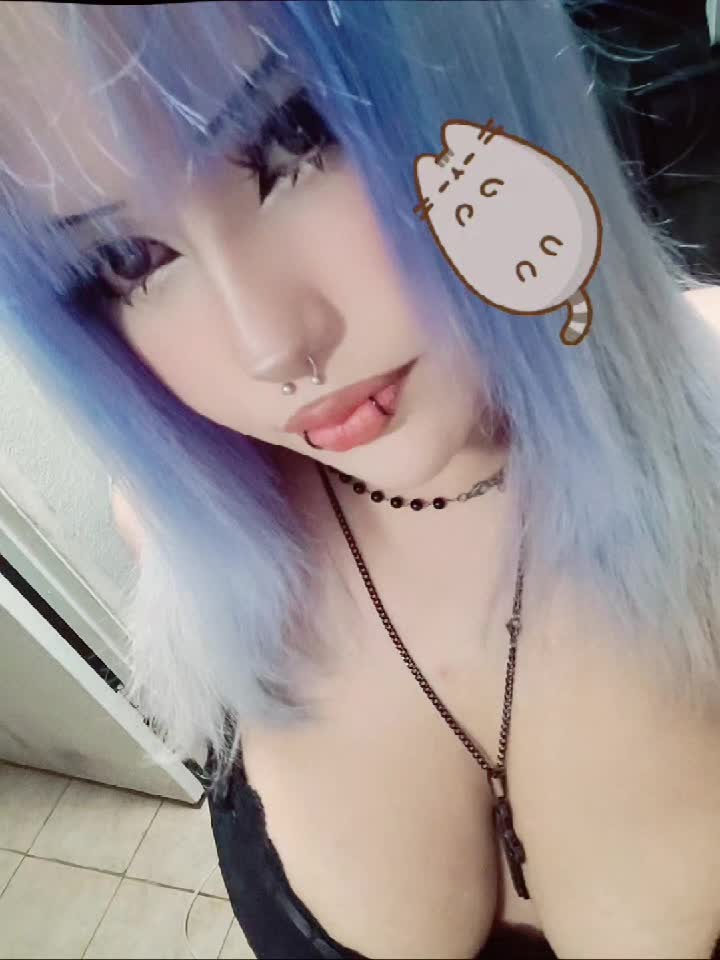 @kitty≽(•⩊ •マ≼