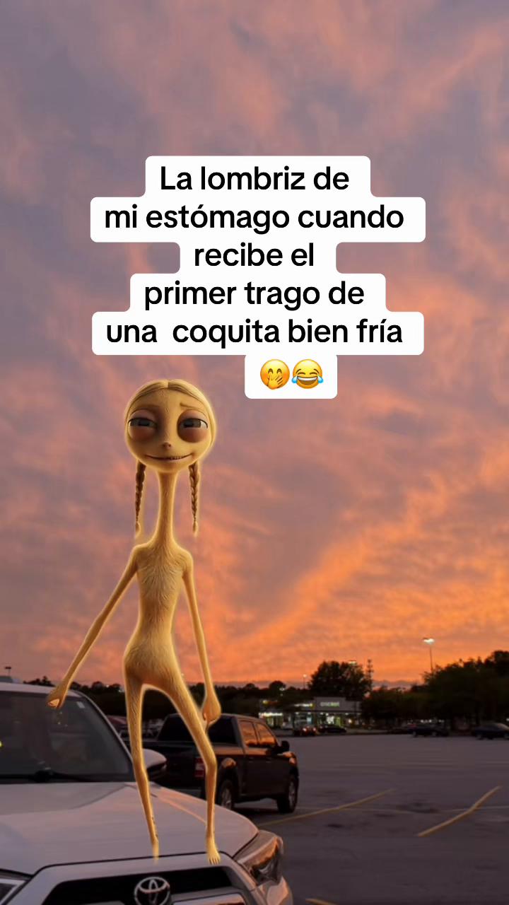 @yane🍀