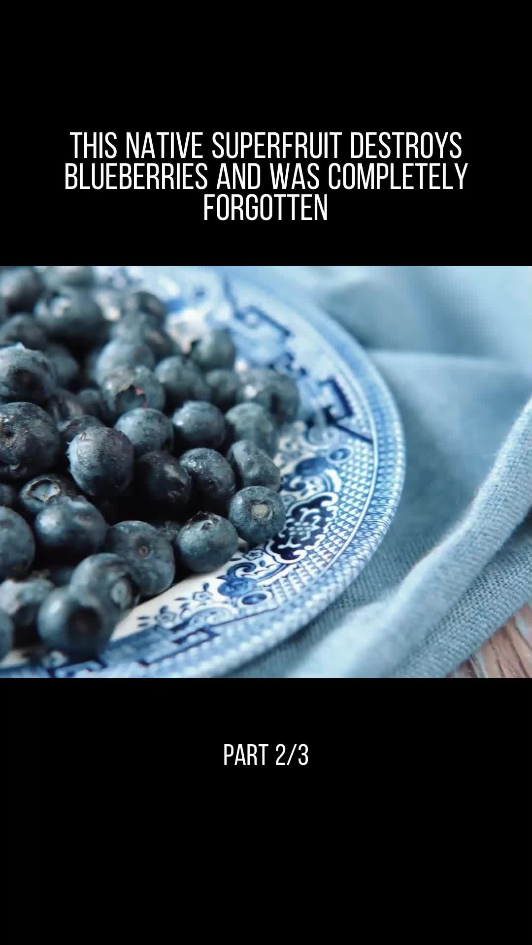 @user32331650853717