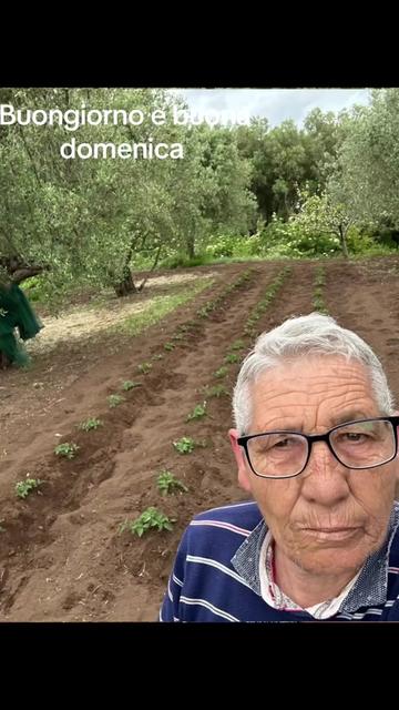@Paolo Cambareri 275