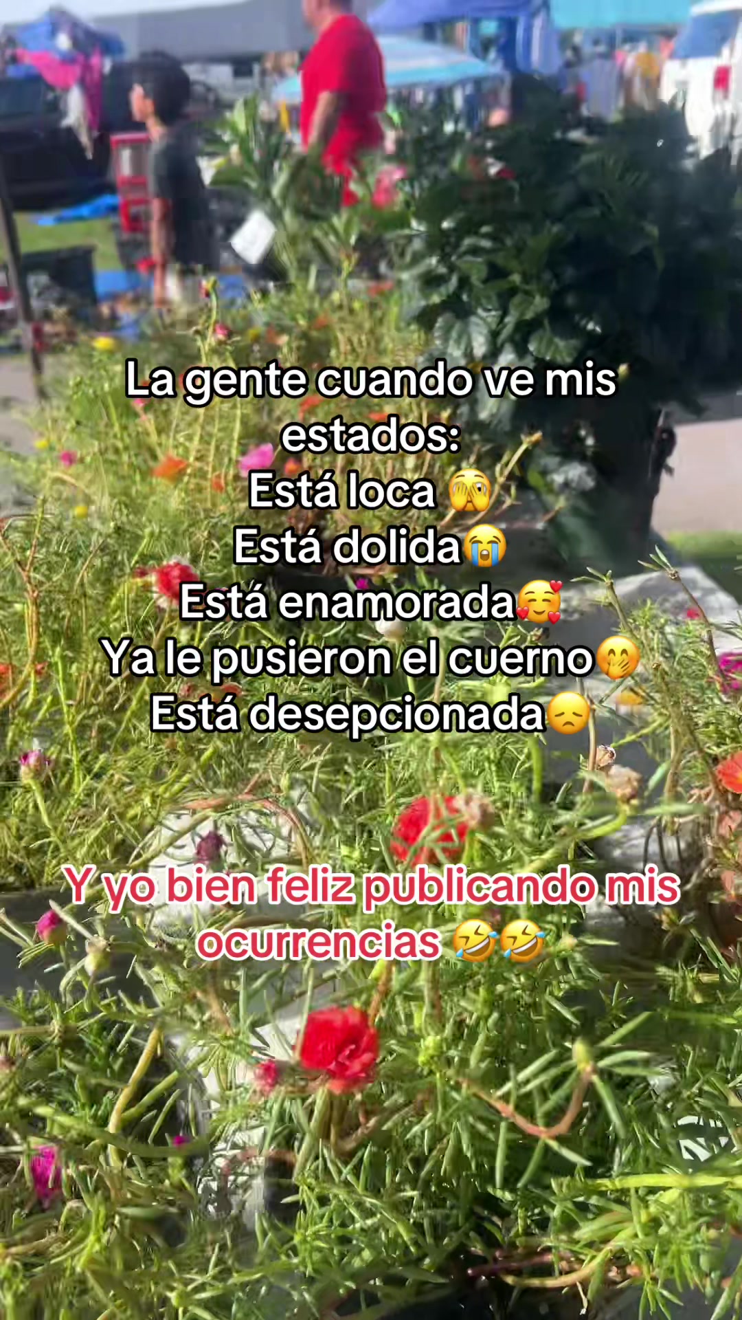 @Carmen Diaz