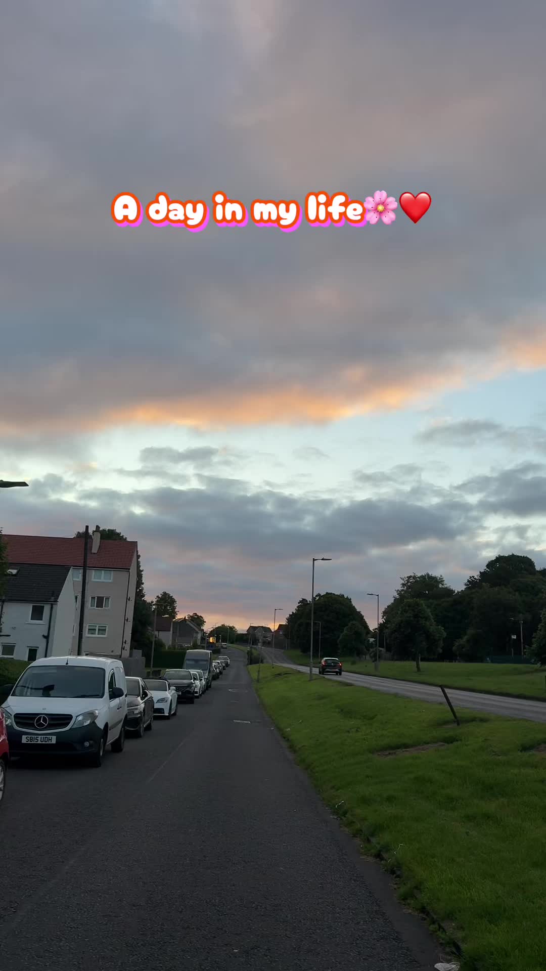 @Sushmita 🎀🌸