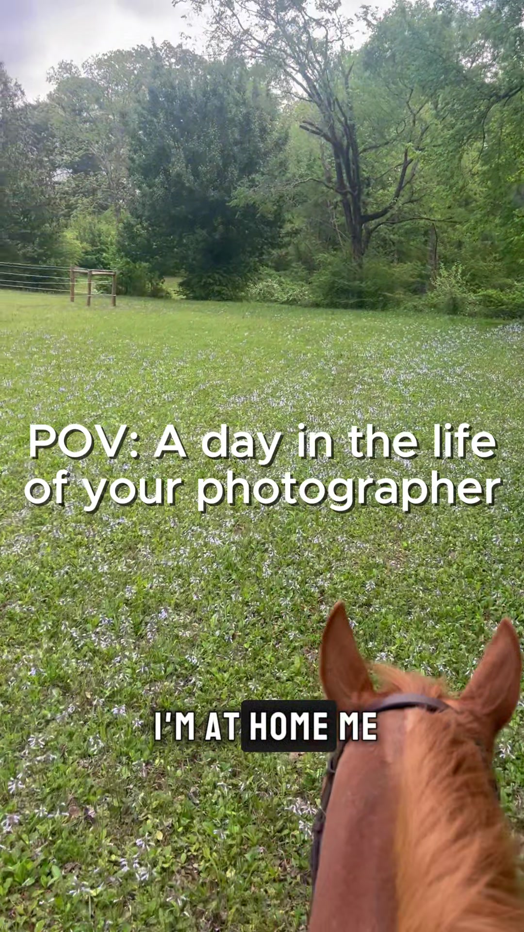 @Paintedoakphotography