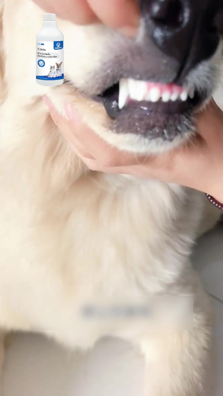 @เจียงเจียงคังคัง
