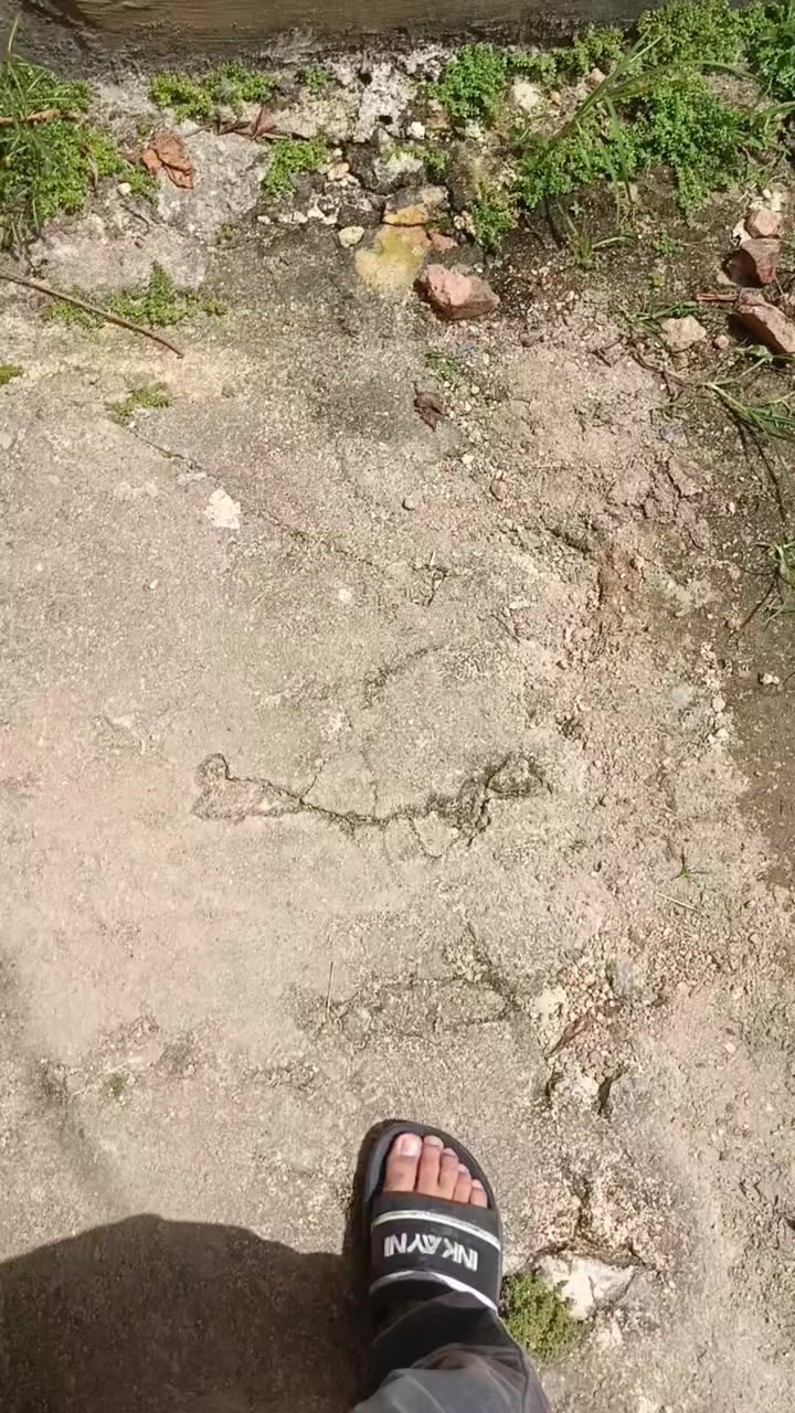 @Ԋιƙαɾυ` 🥷