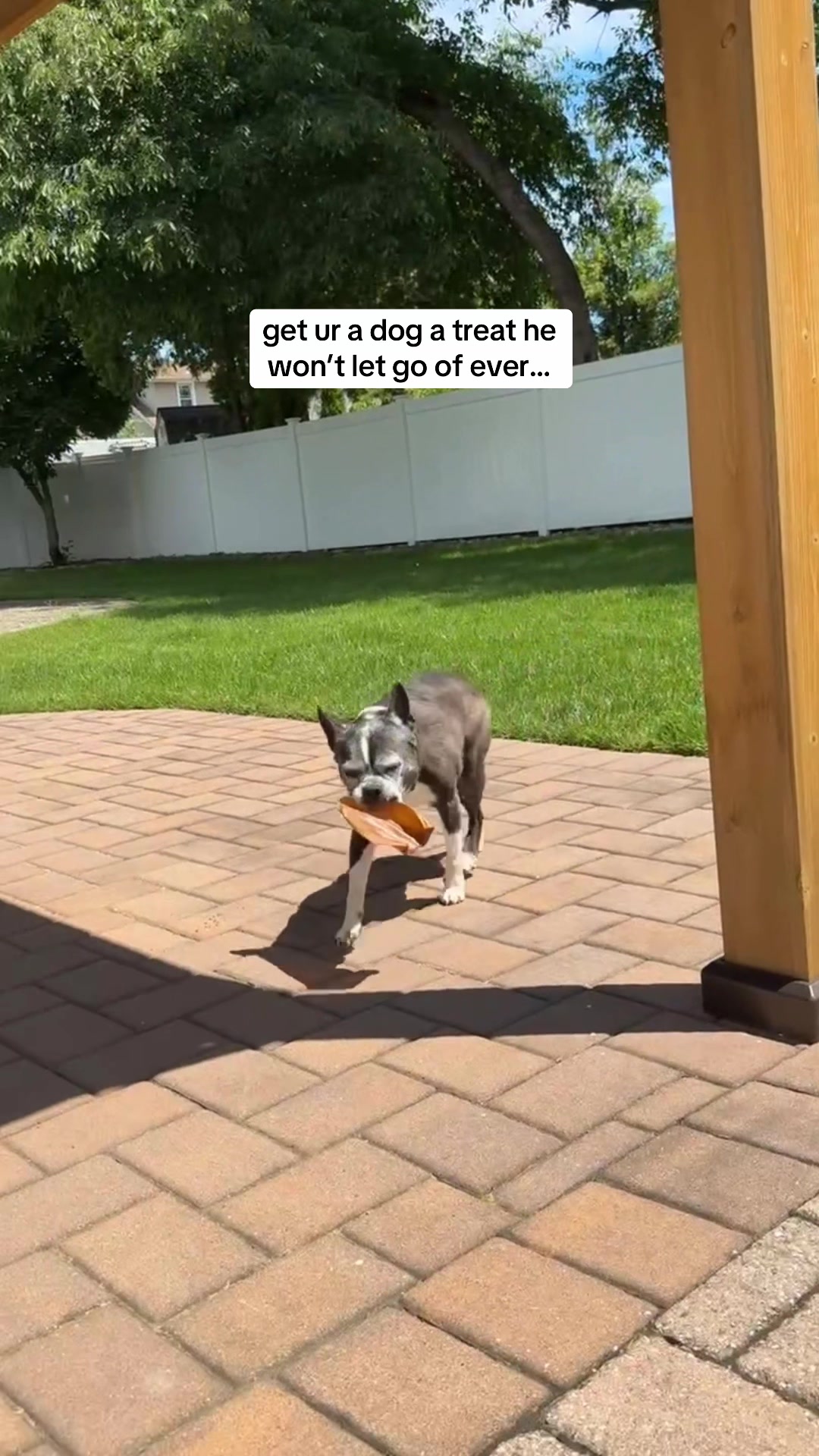 @sillygworll