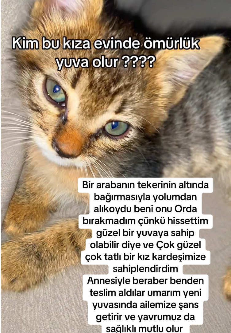 @yudummz_