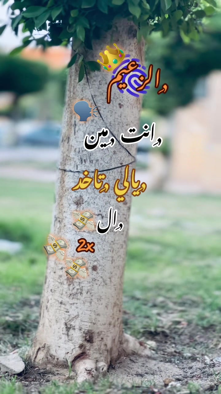 @🔁| يـسـن 🐺