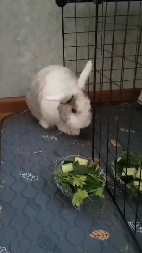 @сашбел из болезней молодости