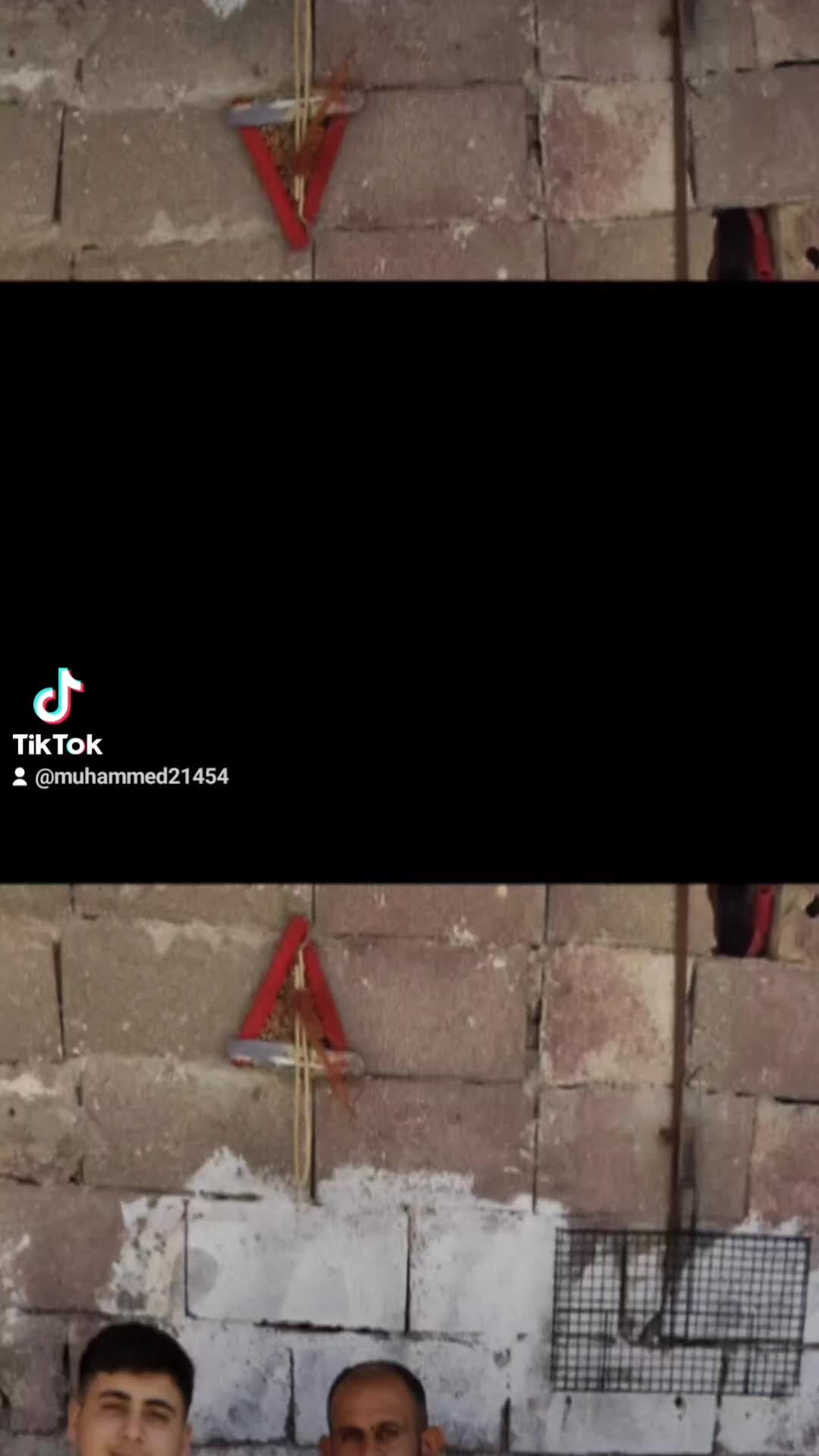 @Metin şahin