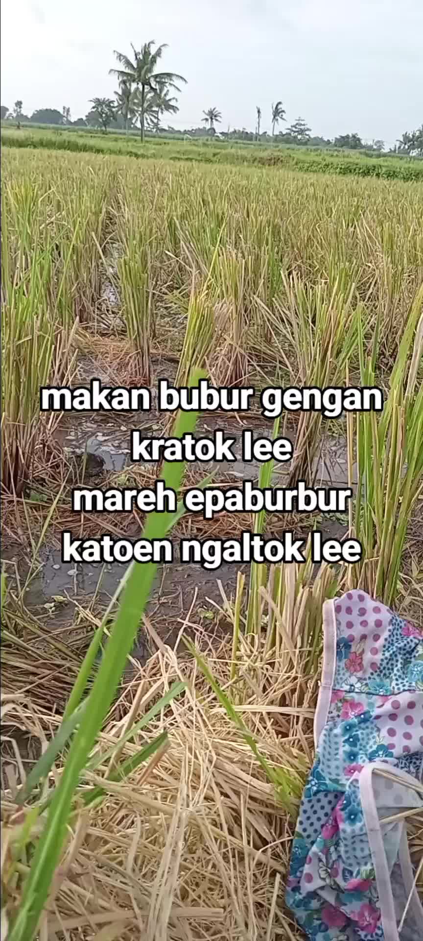 @KAMPONG TOSO