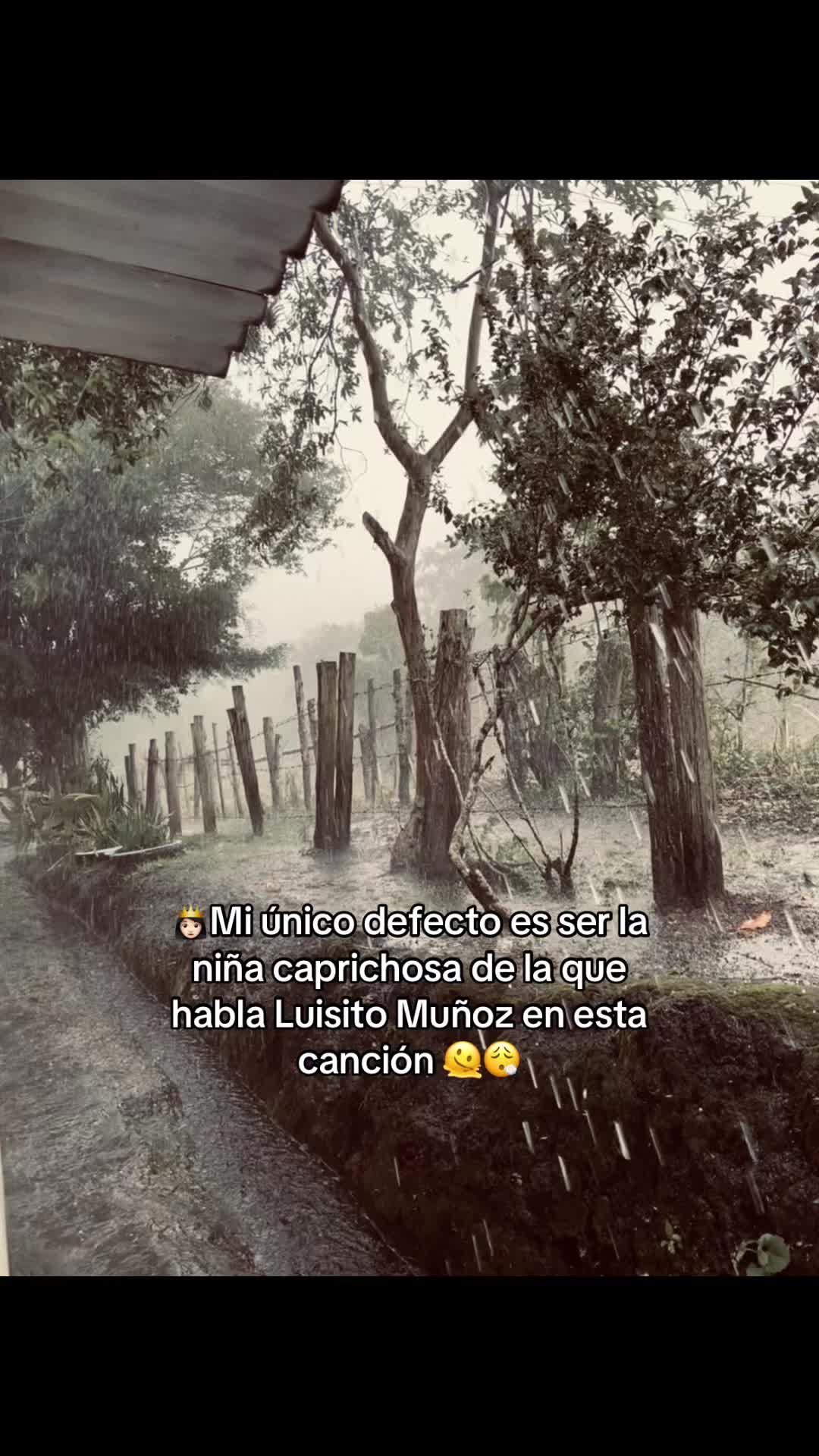 @Daniela Becerra♡