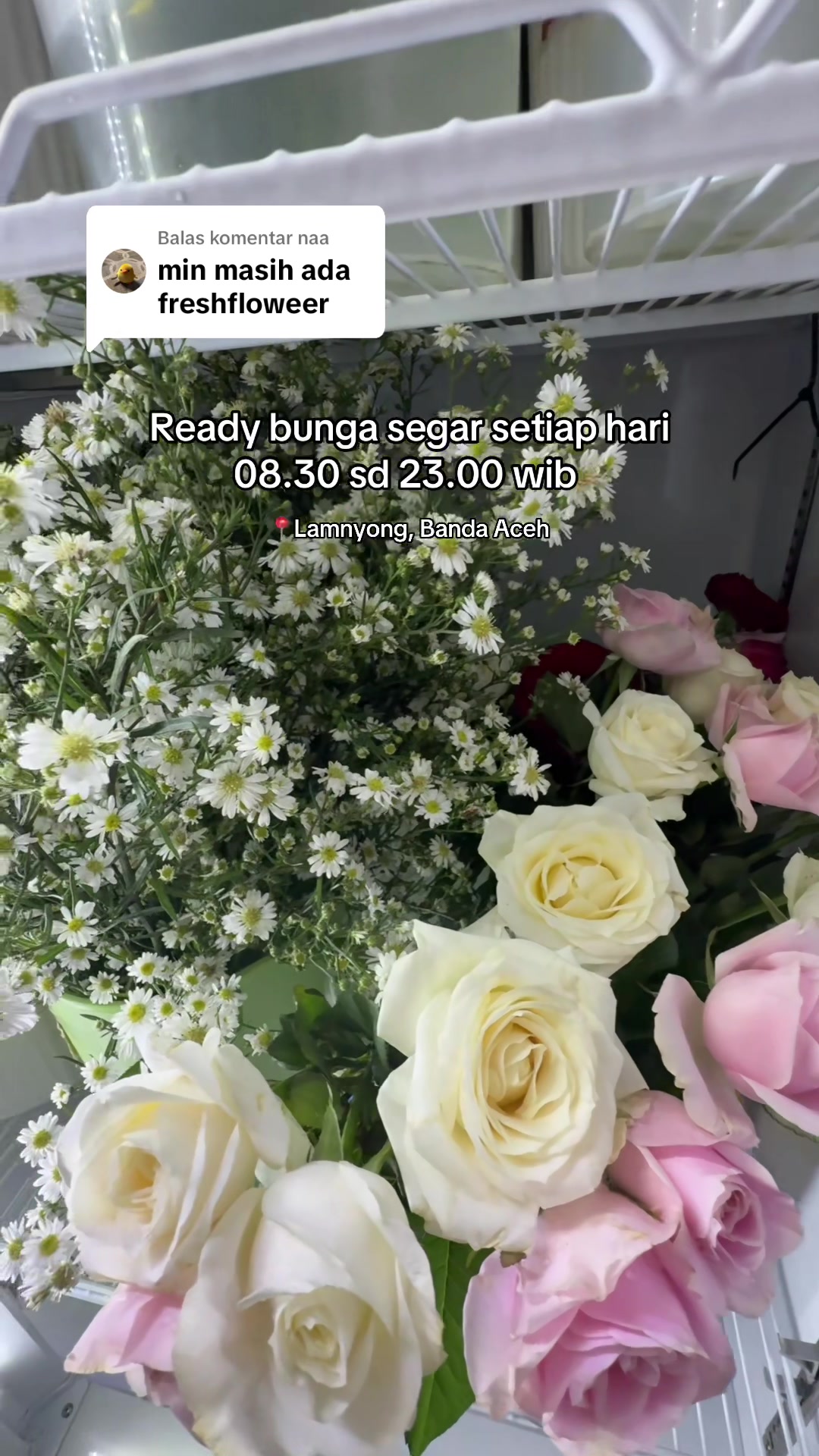 @Sahabat kado aceh