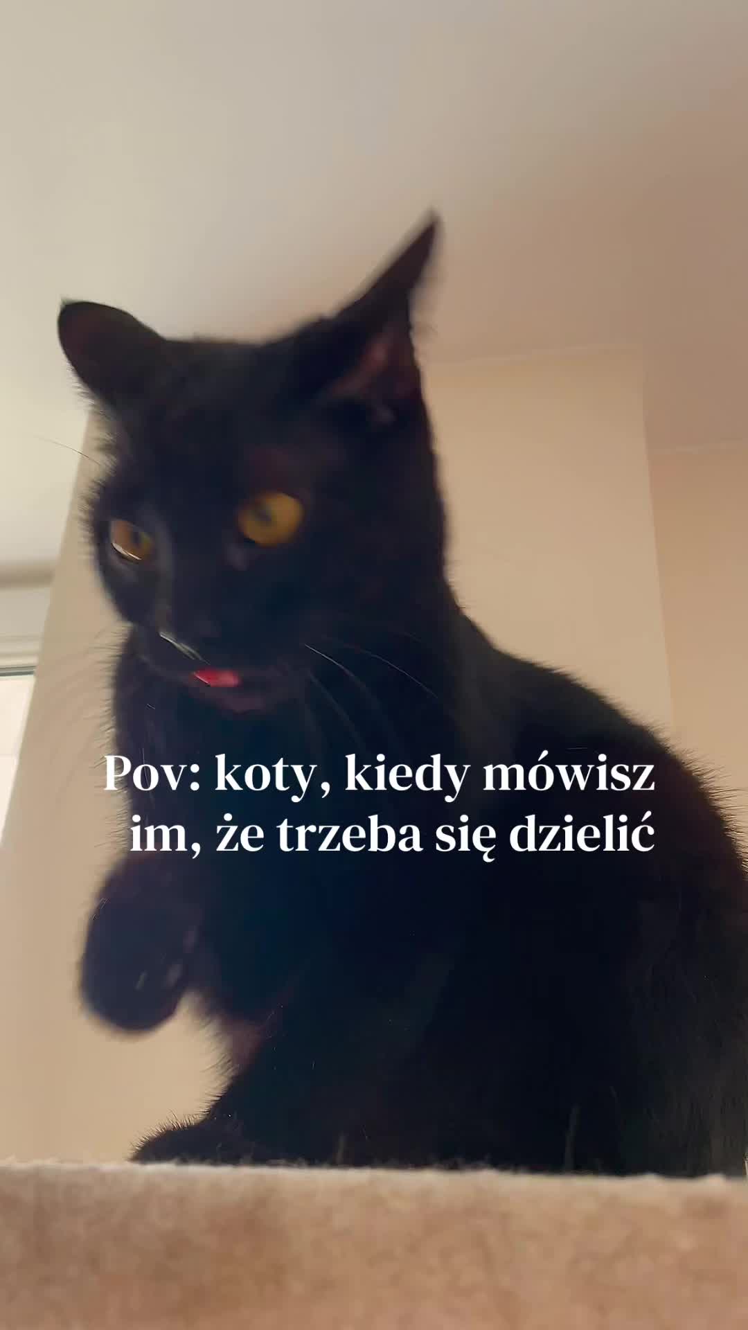 @IG: mrrrtasy