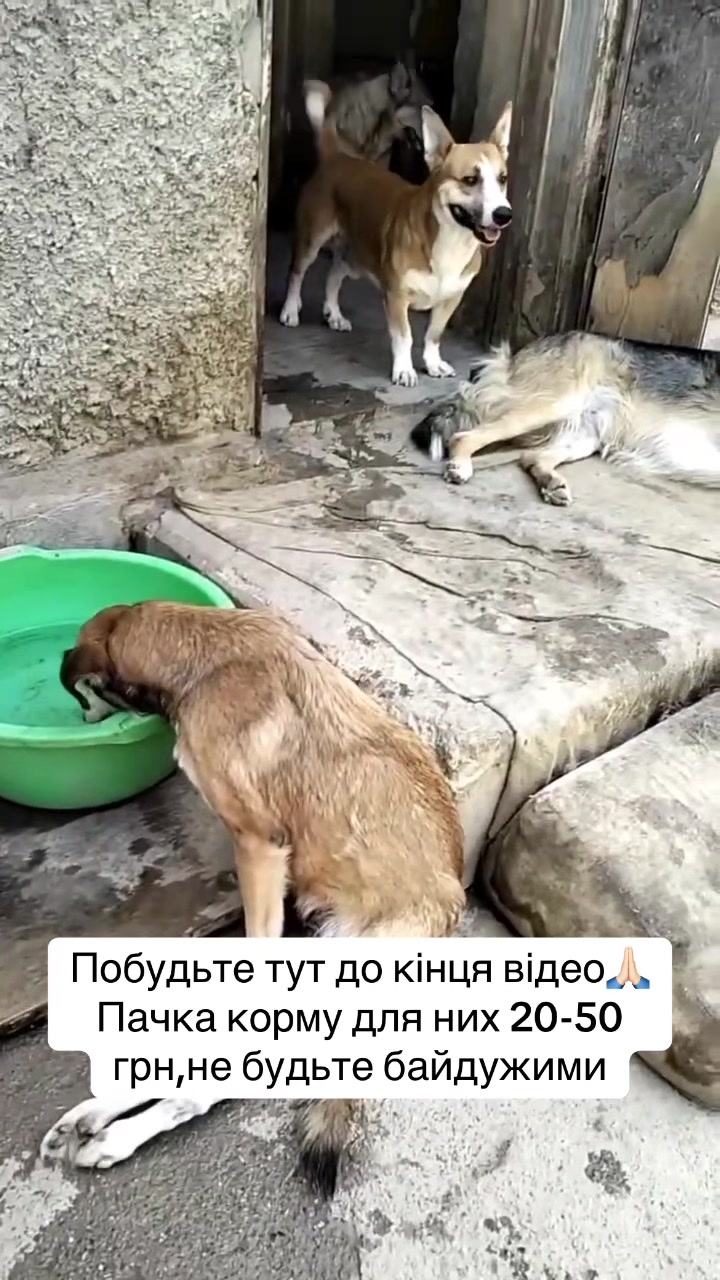 @kvitochki222