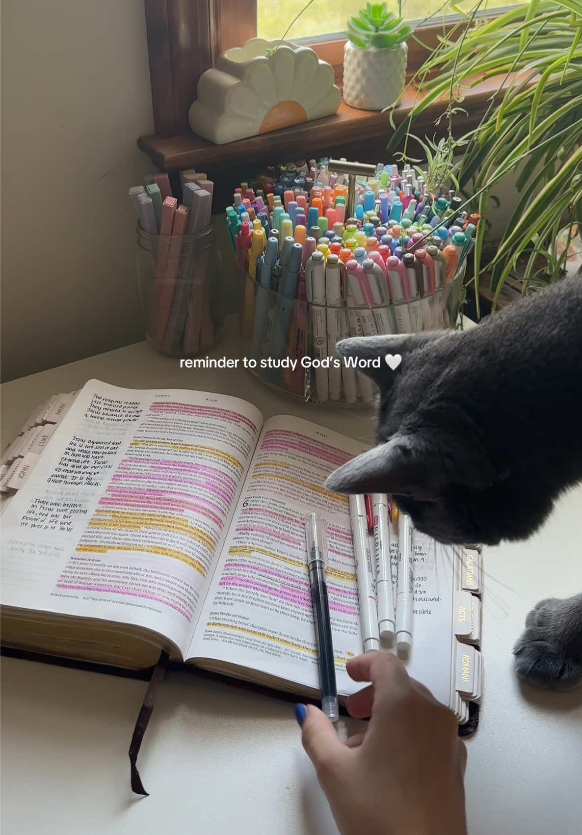 @the loving bible