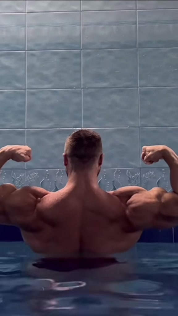 @ARNO | Alpha Beast
