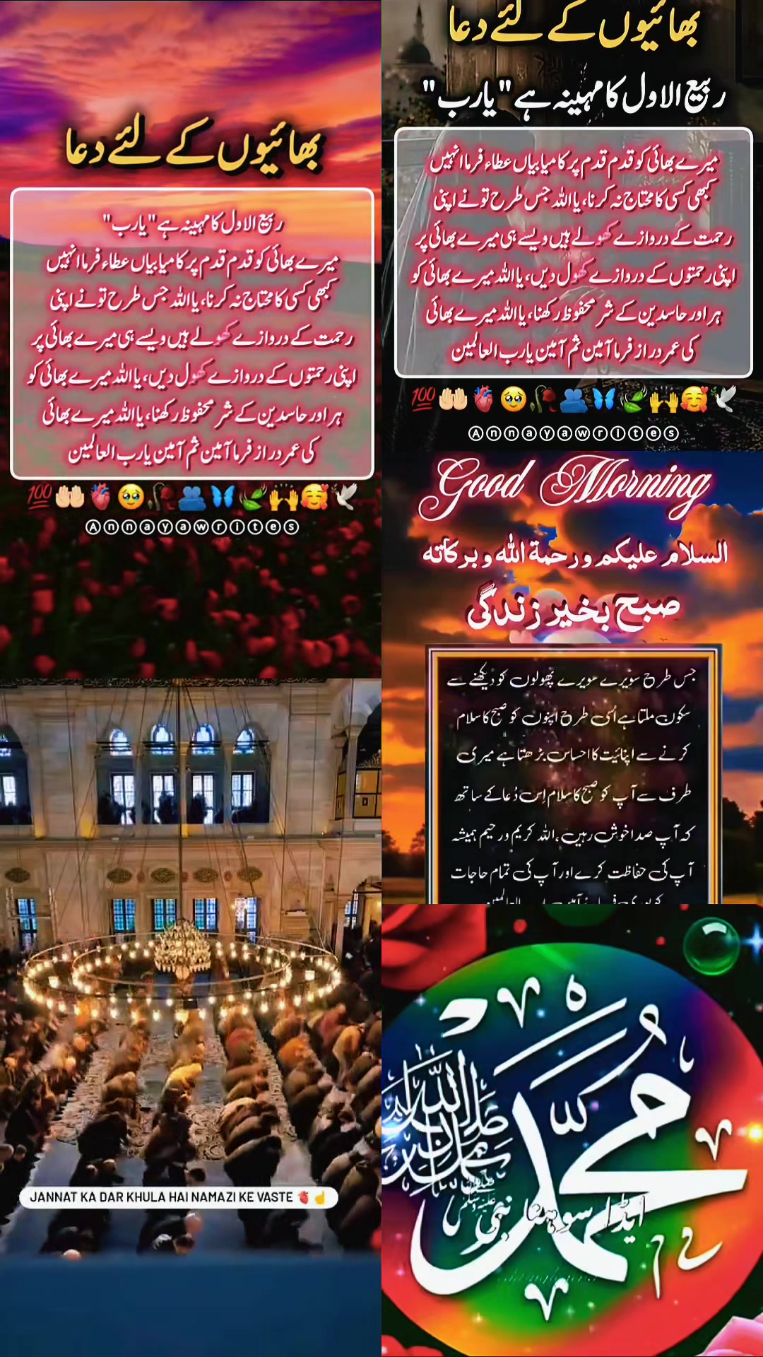 @amaan1949