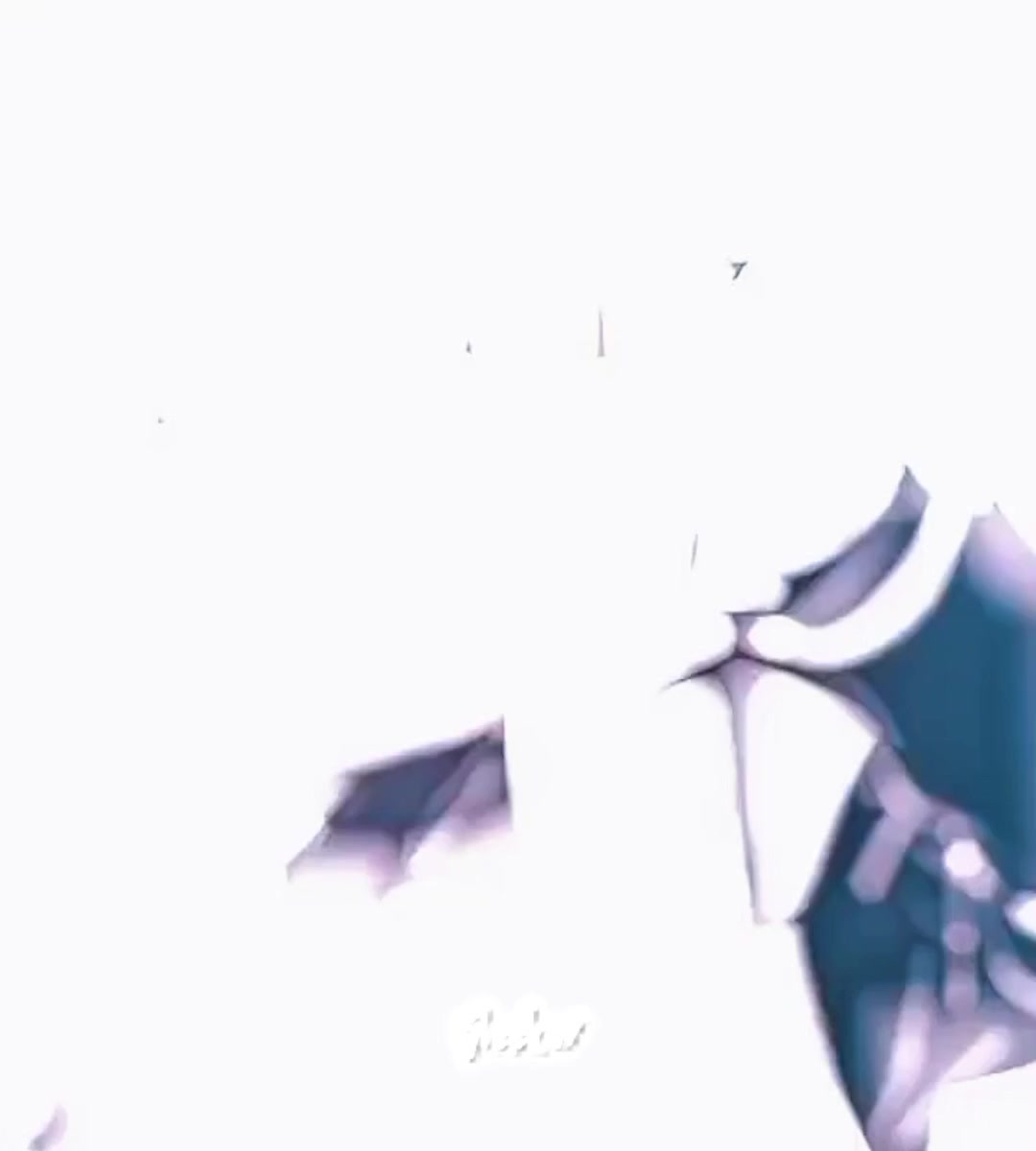 @shadow_234