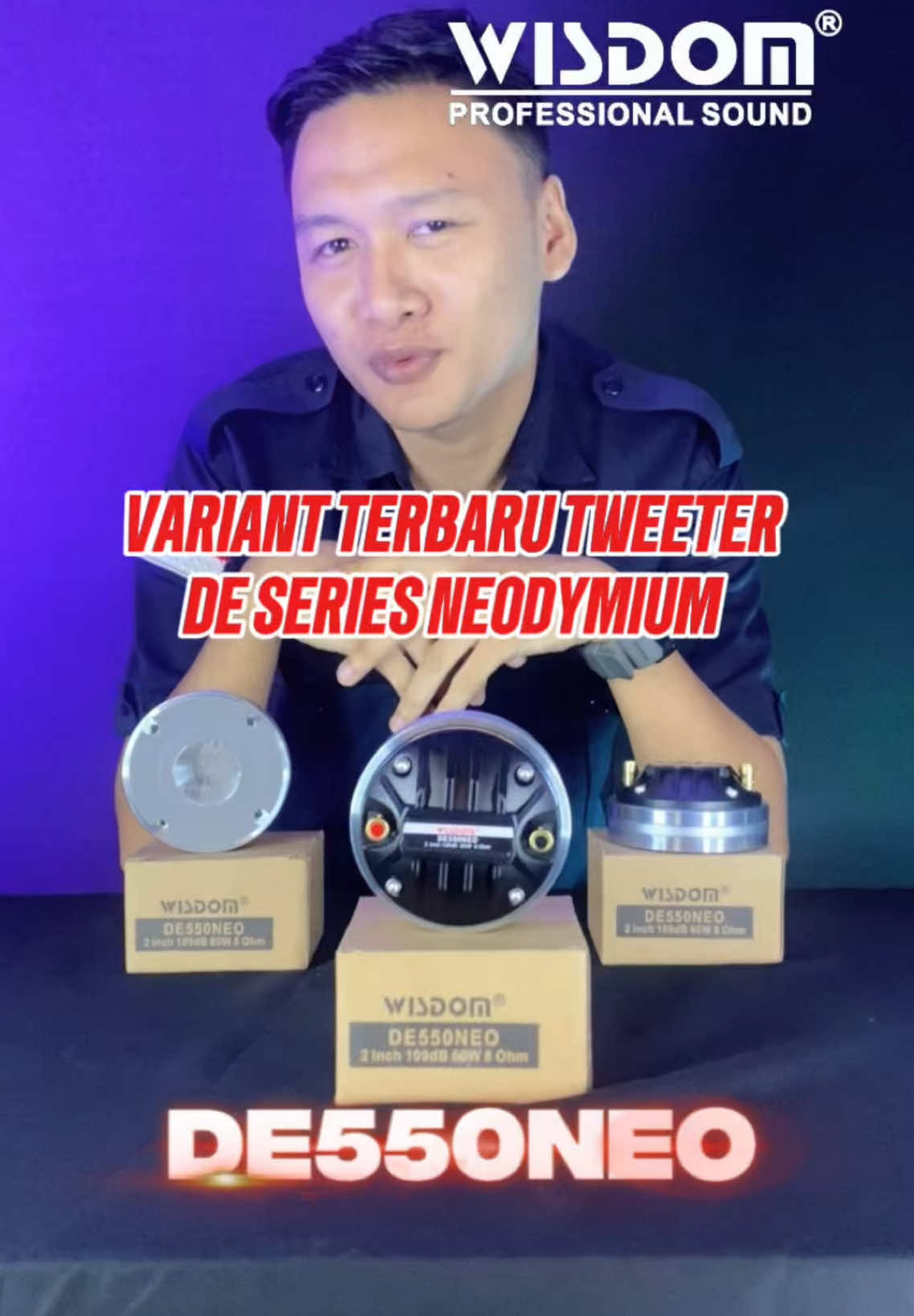 @Wisdom Pro Audio