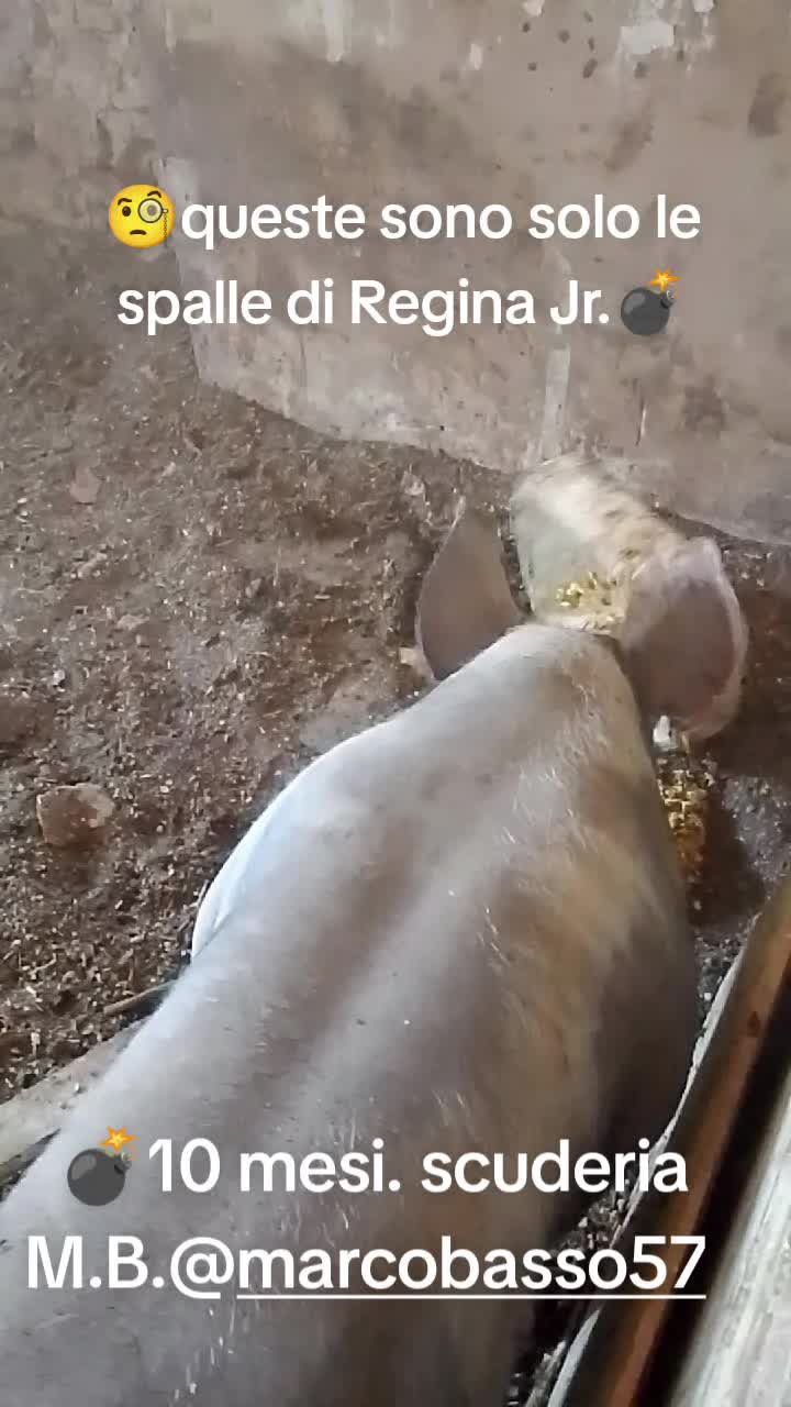 @Stefano Zagara