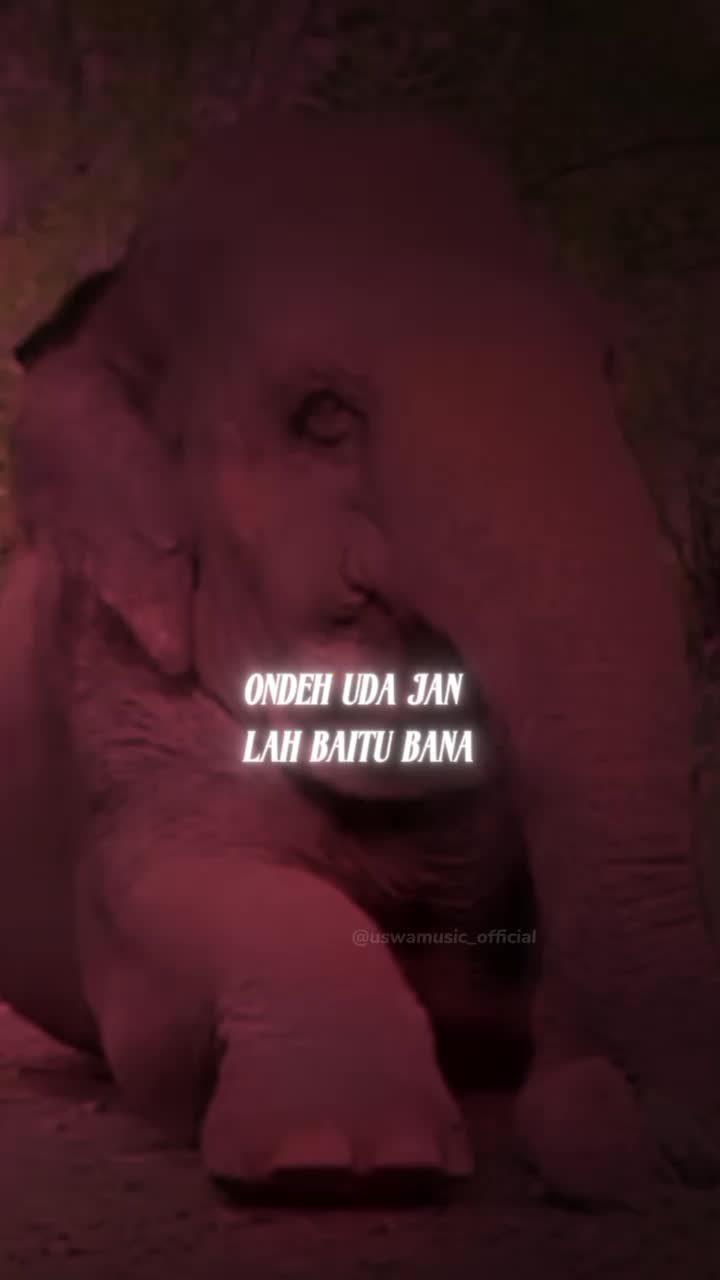 @Arvi Channel