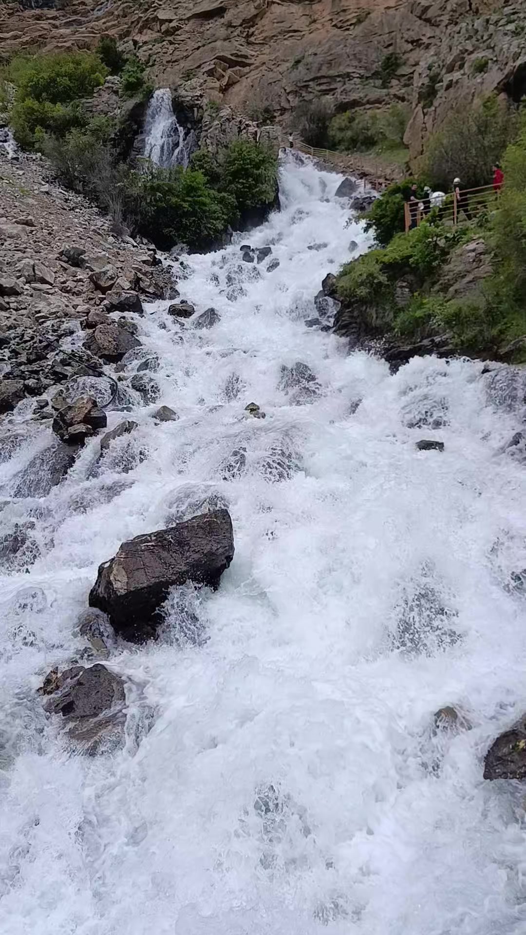 @Veysi Asağ65