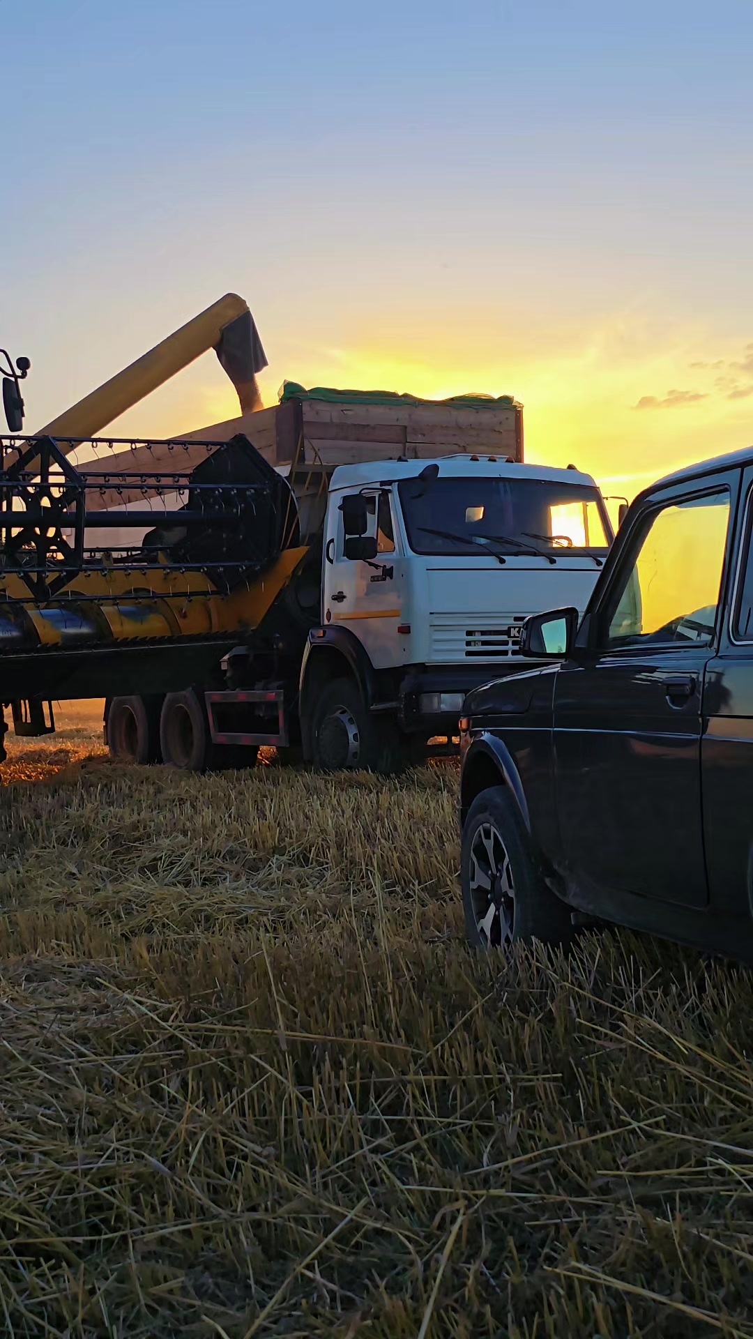 @Farmer ildırım
